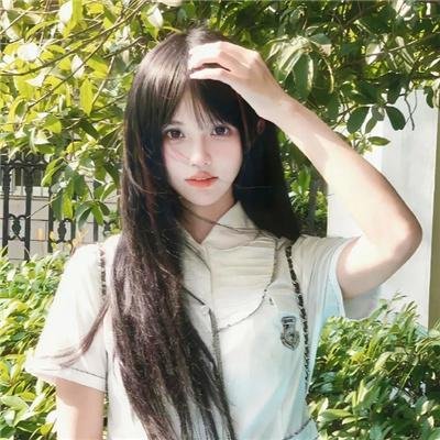 苦茶香