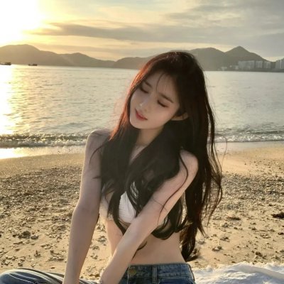 狮子护卫队第二季
